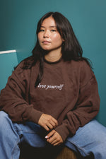 006 Brown LY Mock Collar Sweatshirt